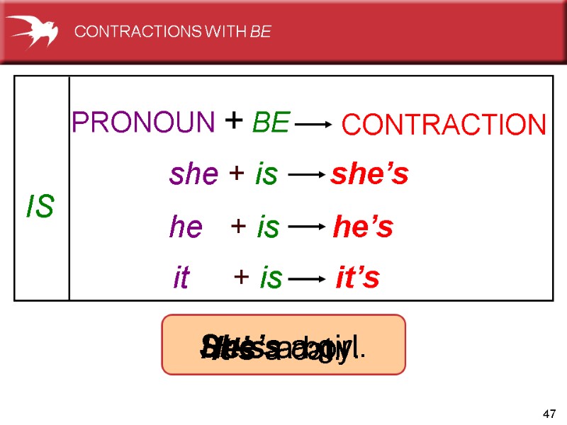 47          She’s a girl. It’s